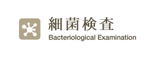細菌検査